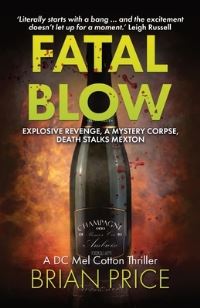 Book Cover for Fatal Blow by Brian Price