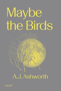Book Cover for Maybe the Birds by A J Ashworth
