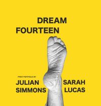 Book Cover for Dream Fourteen by Julian Simmons, Sarah Lucas