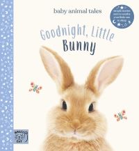 Book Cover for Goodnight, Little Bunny by A J Wood