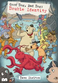 Book Cover for Double Identity by Dave Shelton