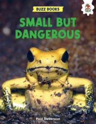 Book Cover for Small but Dangerous by Paul Stevenson