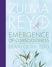 Book Cover for Emergence of Consciousness by Zulma Reyo