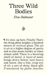 Book Cover for Three Wild Bodies by Eva Baltasar
