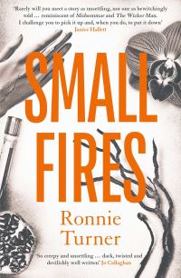 Book Cover for Small Fires by Ronnie Turner