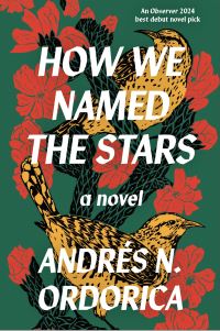 Book Cover for How We Named the Stars by Andrés N Ordorica