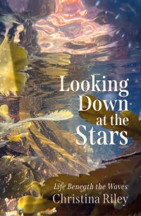 Book Cover for Looking Down at the Stars by Christina Riley