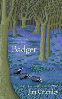 Book Cover for Badger by Jim Crumley