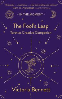 Book Cover for The Fool's Leap by Victoria Bennett