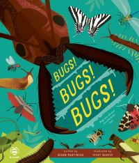 Book Cover for Bugs! Bugs! Bugs! by Susan Martineau