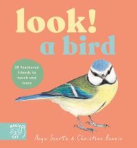 Book Cover for Look! A Bird! by Anya Serota