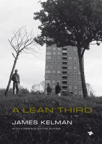 Book Cover for A Lean Third by James Kelman