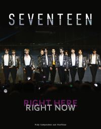 Book Cover for Seventeen by Carolyn McHugh