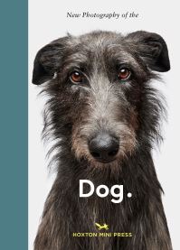 Book Cover for New Photography of the Dog by Jilke Golbach
