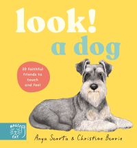 Book Cover for Look! A Dog! by Anya Serota