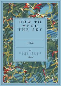 Book Cover for How to Mend the Sky by Ivy Liu