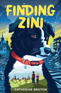 Book Cover for Finding Zini by Catherine Bruton