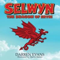 Book Cover for Selwyn by Darren Evans