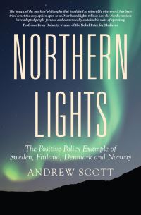 Book Cover for Northern Lights by Andrew J Scott