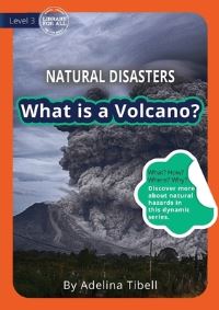 Book Cover for What Is a Volcano? by Adelina Tibell
