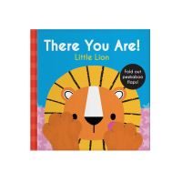 Book Cover for Little Lion by 