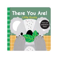 Book Cover for Koala by 