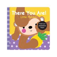 Book Cover for Monkey by 