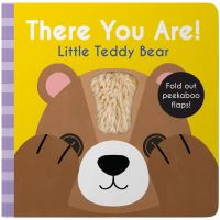 Book Cover for Little Teddy Bear by Wendy Kendall