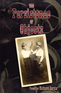 Book Cover for The Persistence of Objects by Richard García