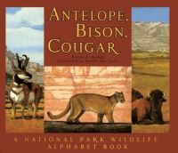 Book Cover for Antelope, Bison, Cougar by Steven P Medley