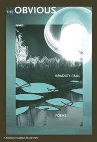 Book Cover for The Obvious by Bradley Paul