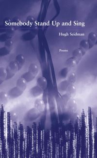 Book Cover for Somebody Stand Up and Sing by Hugh Seidman