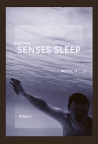 Book Cover for Only the Senses Sleep by Wayne Miller