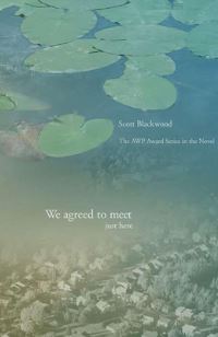 Book Cover for We Agreed to Meet Just Here by Scott Blackwood