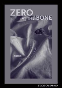 Book Cover for Zero at the Bone by Stacie Cassarino