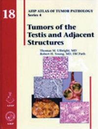 Book Cover for Tumors of the Testis and Adjacent Structures by Thomas M Ulbright, Robert H Young