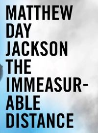 Book Cover for Matthew Day Jackson by Bill Arning, Tom Morton, David Tomkins, Deborah Douglas, David Mindell