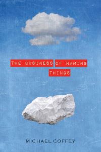 Book Cover for The Business of Naming Things by Michael Coffey