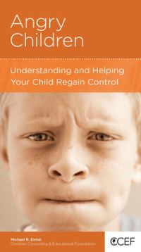 Book Cover for Angry Children by Michael R Emlet