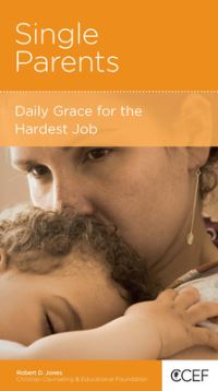 Book Cover for Single Parents by Robert D Jones