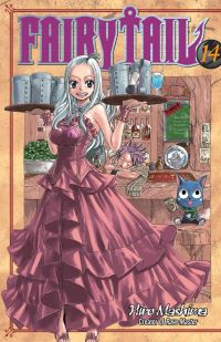 Book Cover for Fairy Tail 14 by Hiro Mashima