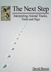 Book Cover for The Next Step by David Brown