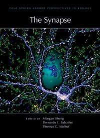 Book Cover for The Synapse by Morgan Sheng, Bernardo Sabatini, Thomas C Südhof