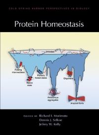 Book Cover for Protein Homeostasis by Richard I Morimoto, Dennis J Selkoe, Jeffery W Kelly