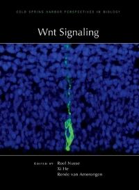 Book Cover for Wnt Signaling by Roel Nusse, Xi He, Renee van Amerongen