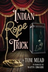Book Cover for The Indian Rope Trick And Other Violent Entertainments by Tom Mead