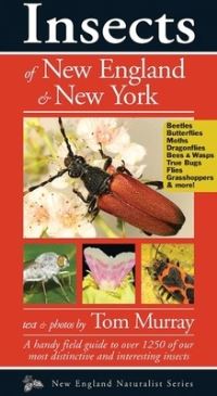 Book Cover for Insects of New England & New York by Tom Murray
