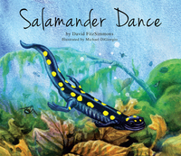 Book Cover for Salamander Dance by David FitzSimmons