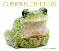 Book Cover for Curious Critters by David FitzSimmons