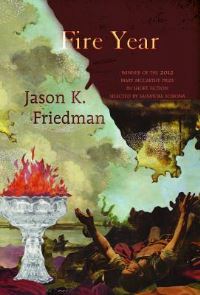 Book Cover for Fire Year by Jason Friedman